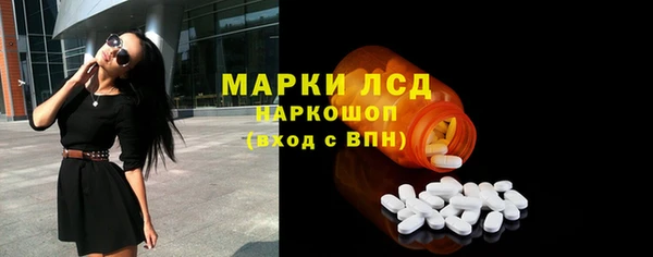 ПСИЛОЦИБИНОВЫЕ ГРИБЫ Зуевка