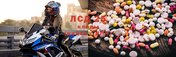 ПСИЛОЦИБИНОВЫЕ ГРИБЫ Зуевка