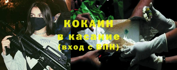 ПСИЛОЦИБИНОВЫЕ ГРИБЫ Зуевка