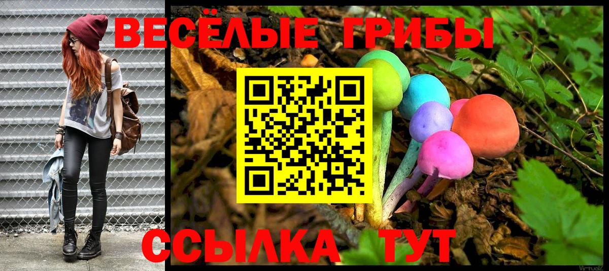 Галлюциногенные грибы прущие грибы Рузаевка